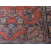 Oriental rug Bidjar Exclusive