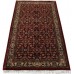 Oriental rug Herati Exclusive