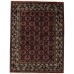 Oriental rug Herati Exclusive